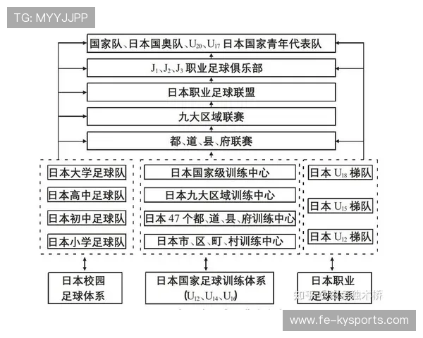 琑队如何建立多渠道青训支持体系 琑队如何建立多渠道青训支持体系